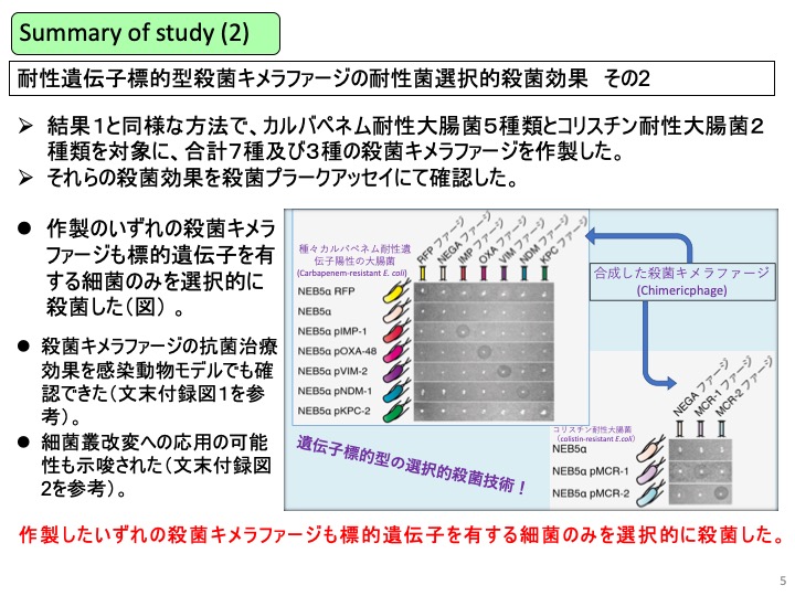 自治医科大学細菌学部門_インタビューjp