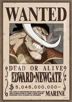 ENS-208-109 ワンピース 懸賞金50億4600万ベリー 208ピース エンスカイ