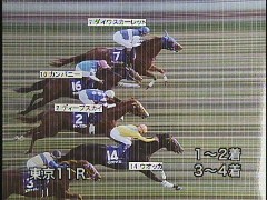 JRAホームページ｜データファイル｜競走成績データ