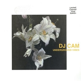DJ CAM - Underground Vibes レコード通販 JUNGLEEXOTICA - Vinyl