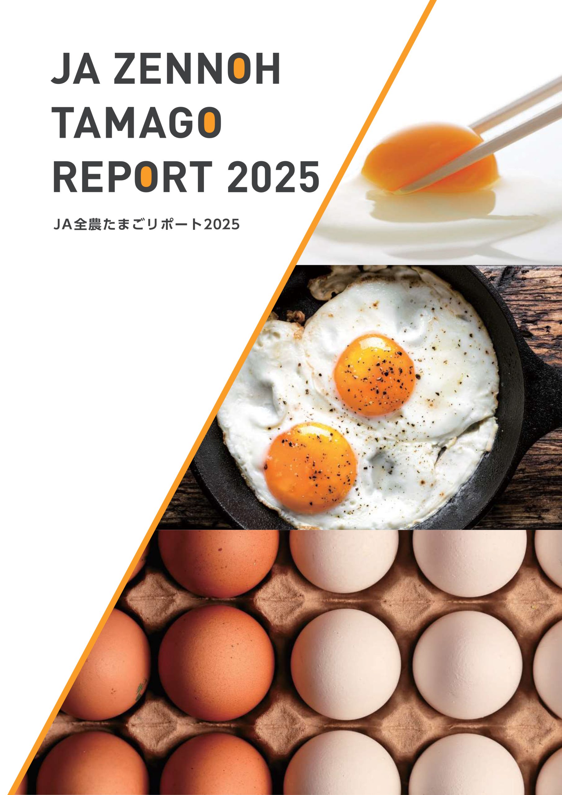 JA全農たまごリポート | 企業情報 | JA全農たまご株式会社