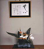 小笠原流 煎茶道＜本の紹介＞ | 小笠原流煎茶道