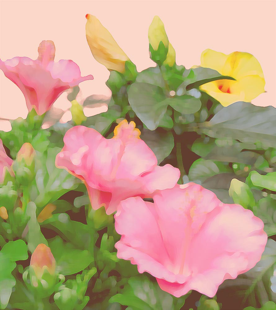 井上覚造 バルビゾンの猫 | 絵画など美術品の販売と買取 | 東京・銀座