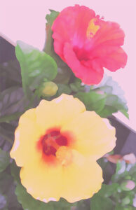 田崎広助 箱根の朱富士 | 絵画など美術品の販売と買取 | 東京・銀座