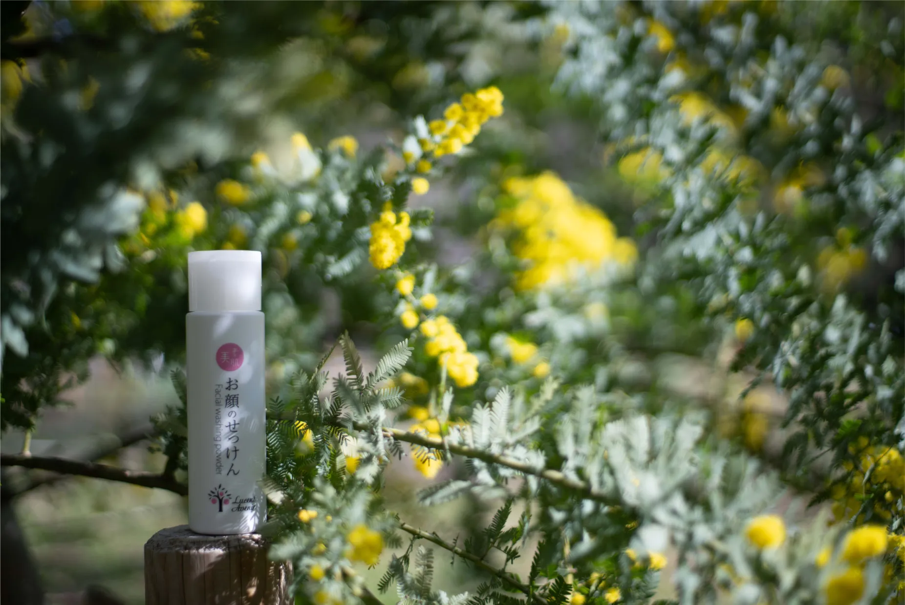 お顔のせっけん