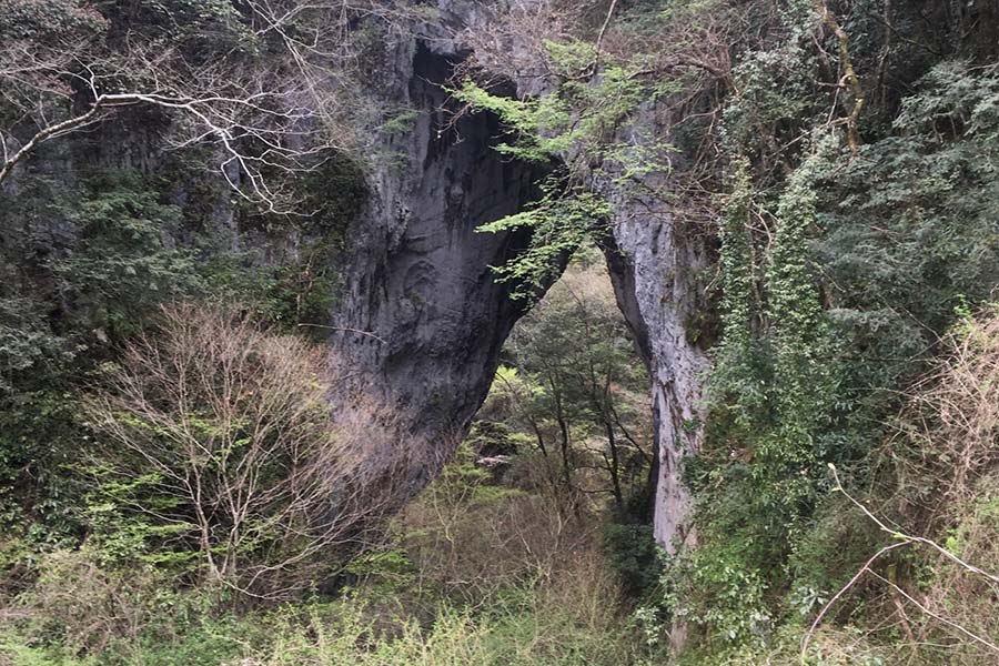 羅生門（らしょうもん） | 【岡山】グランピングヴィレッジ いぶきの里