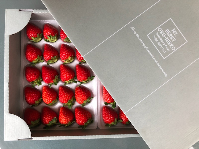 天空の高原いちご 甘くて美味しい完熟いちごの通販｜Mt.Berry奥日光