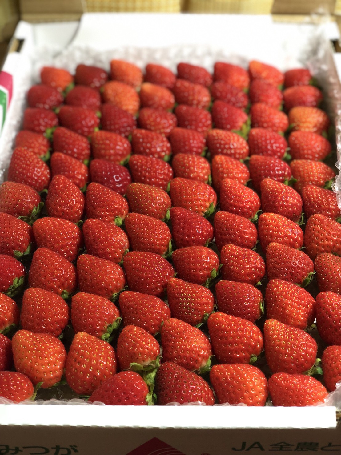 夏秋いちご 甘くて美味しい完熟いちごの通販｜Mt.Berry奥日光