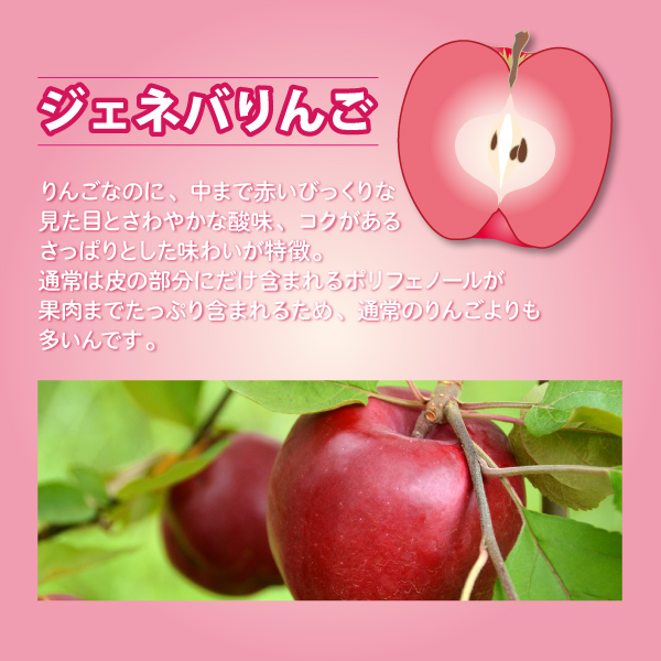 山形県朝日町産】ジェネバリンゴジュース 500ml 化粧箱なし 中まで赤い