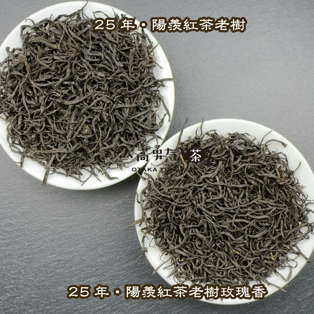 中国茶 茶葉 陝西茯茶500g 特一級 中国茶 茶葉 陝西茯茶500g 特一級