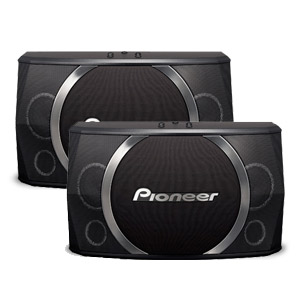 Pioneer/CS-X080(2本1組)です。