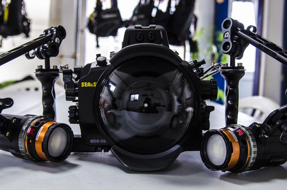 水中撮影機材の紹介 | ワールドダイビング