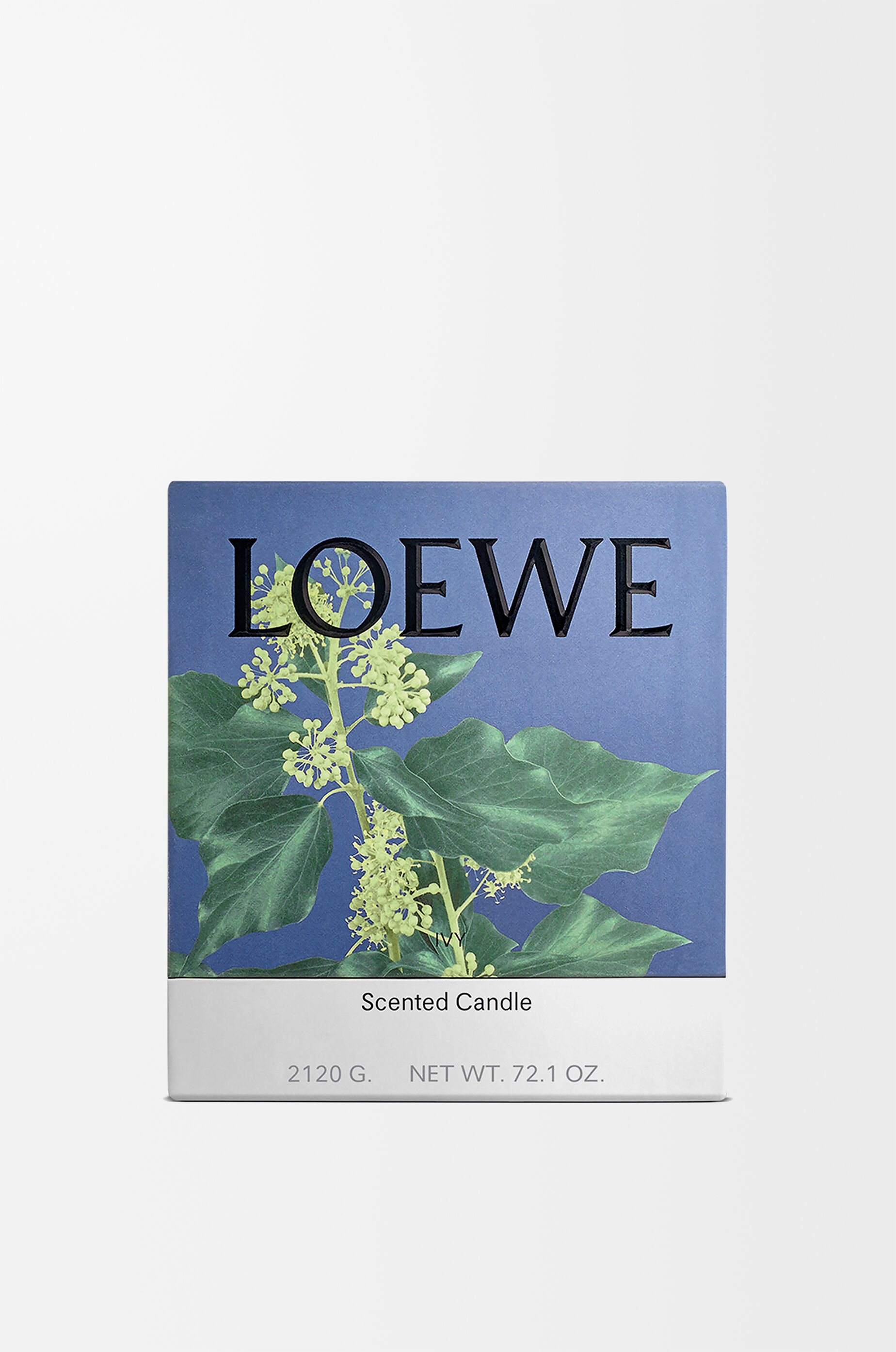 Large Ivy candle Pink - LOEWE USA Official Website