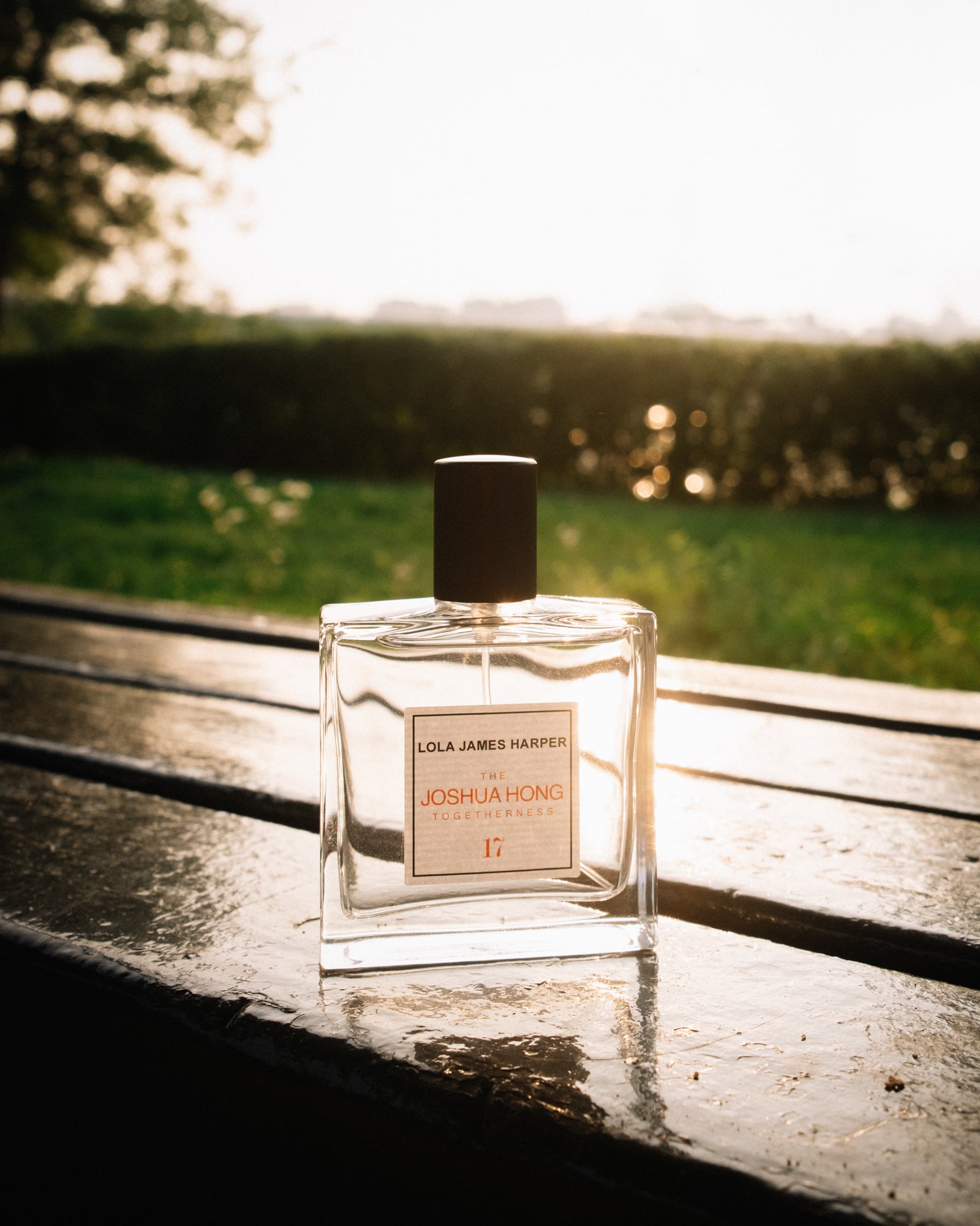 17 The Joshua Hong LIMITED EDITION - Eau de Toilette 50ml - LOLA