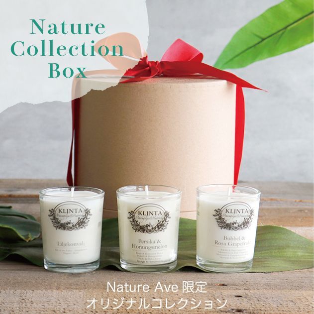 ギフト箱 キャンドル クリンタ/ろうそく/フレグランスキャンドル