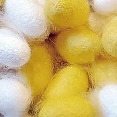 洗うと癒される、乾燥肌用洗浄剤(完全無添加)－アイスペシャリテ