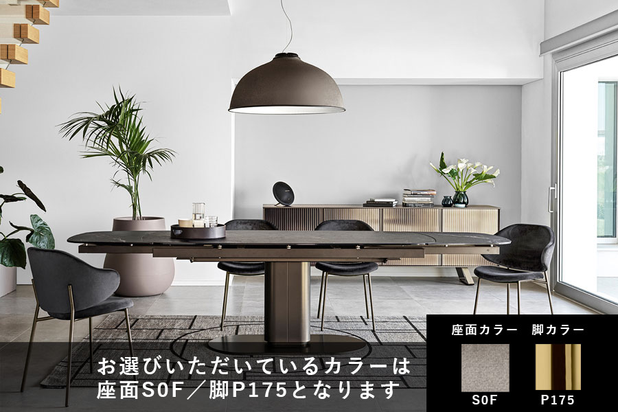 カリガリス ホリー ダイニングチェア ／ Calligaris HOLLY Dining