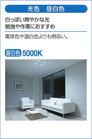 DAIKO 大光電機 ダウンライト(軒下兼用) DDL-6104WW | 商品紹介 | 照明