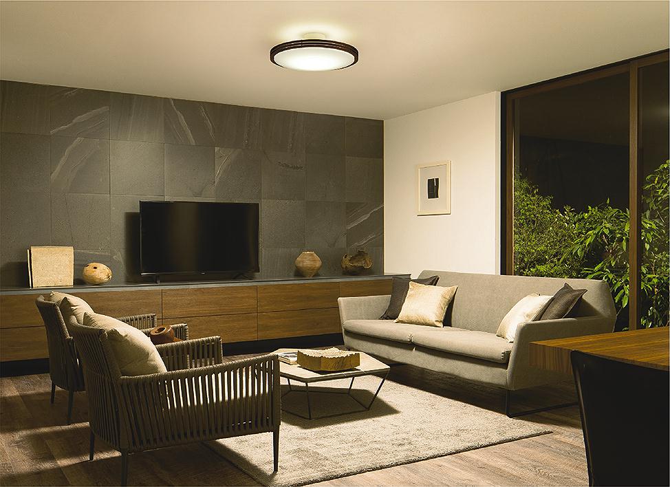 DAIKO 大光電機 調色シーリング DCL-41129 | 商品紹介 | 照明器具の