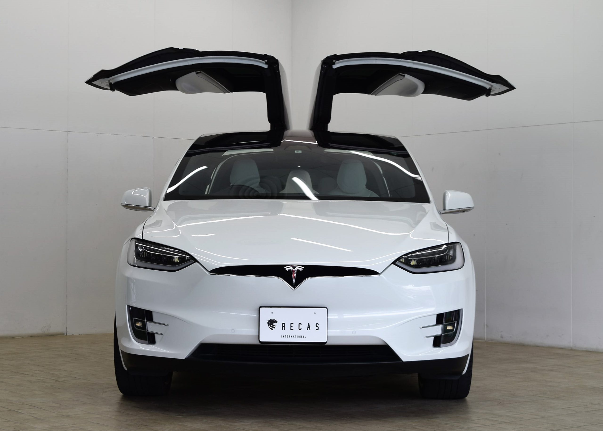 TESLA テスラ モデルX について解説してみました。 | LION HEART