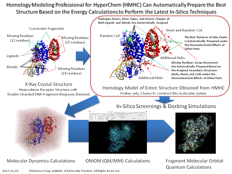 分子機能研究所|ホモロジーモデリングプログラム|Homology Modeling