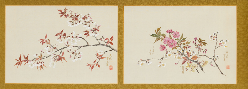 桜花図巻 - 東京国立近代美術館
