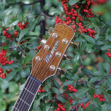 MR-603 | 生産完了品 | MORRIS GUITARS モーリスギター