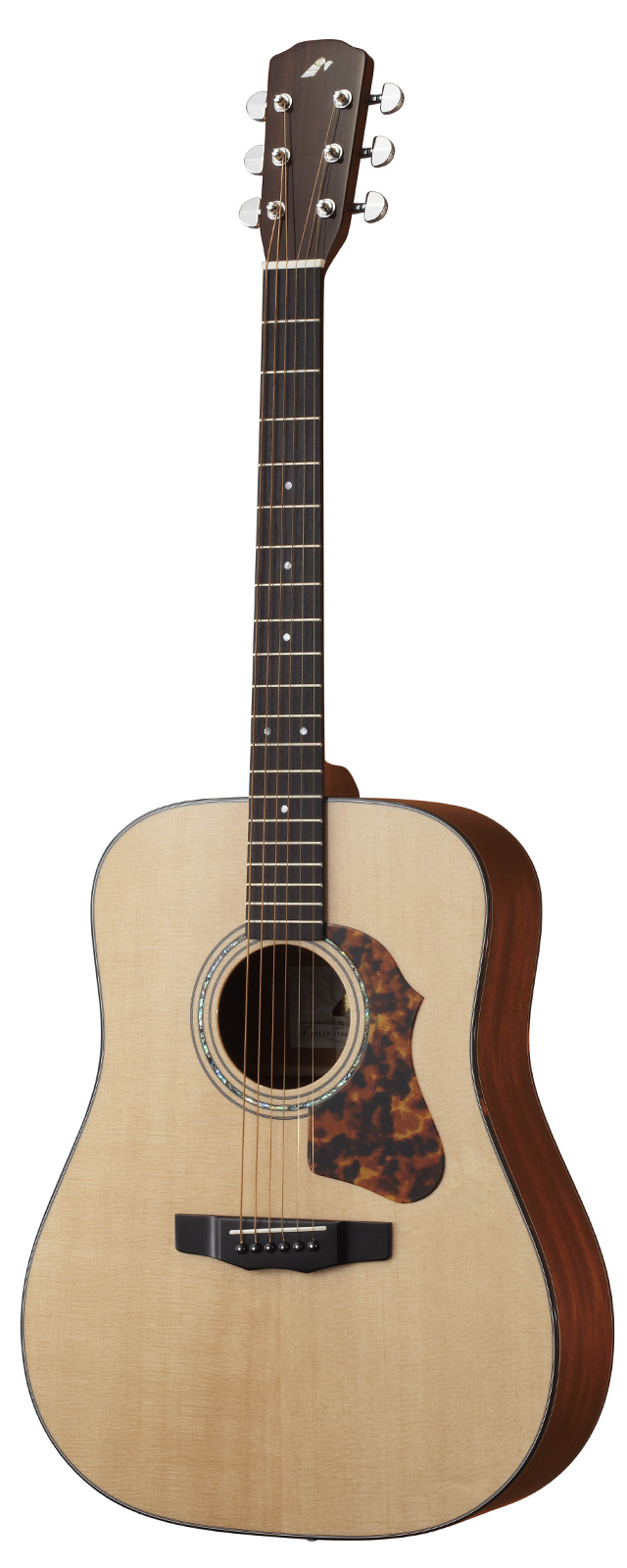 M-80LTD | 生産完了品 | MORRIS GUITARS モーリスギター