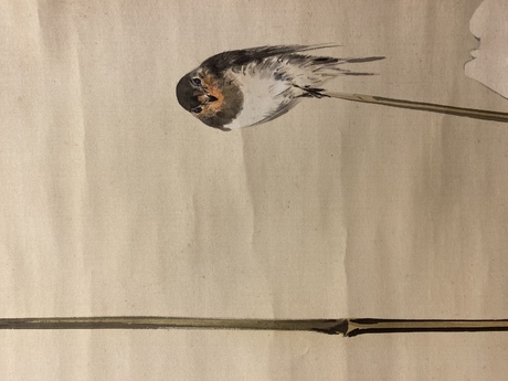 渡辺省亭 牡丹に燕図｜古美術・掛け軸の販売・買取・鑑定-松本松栄堂