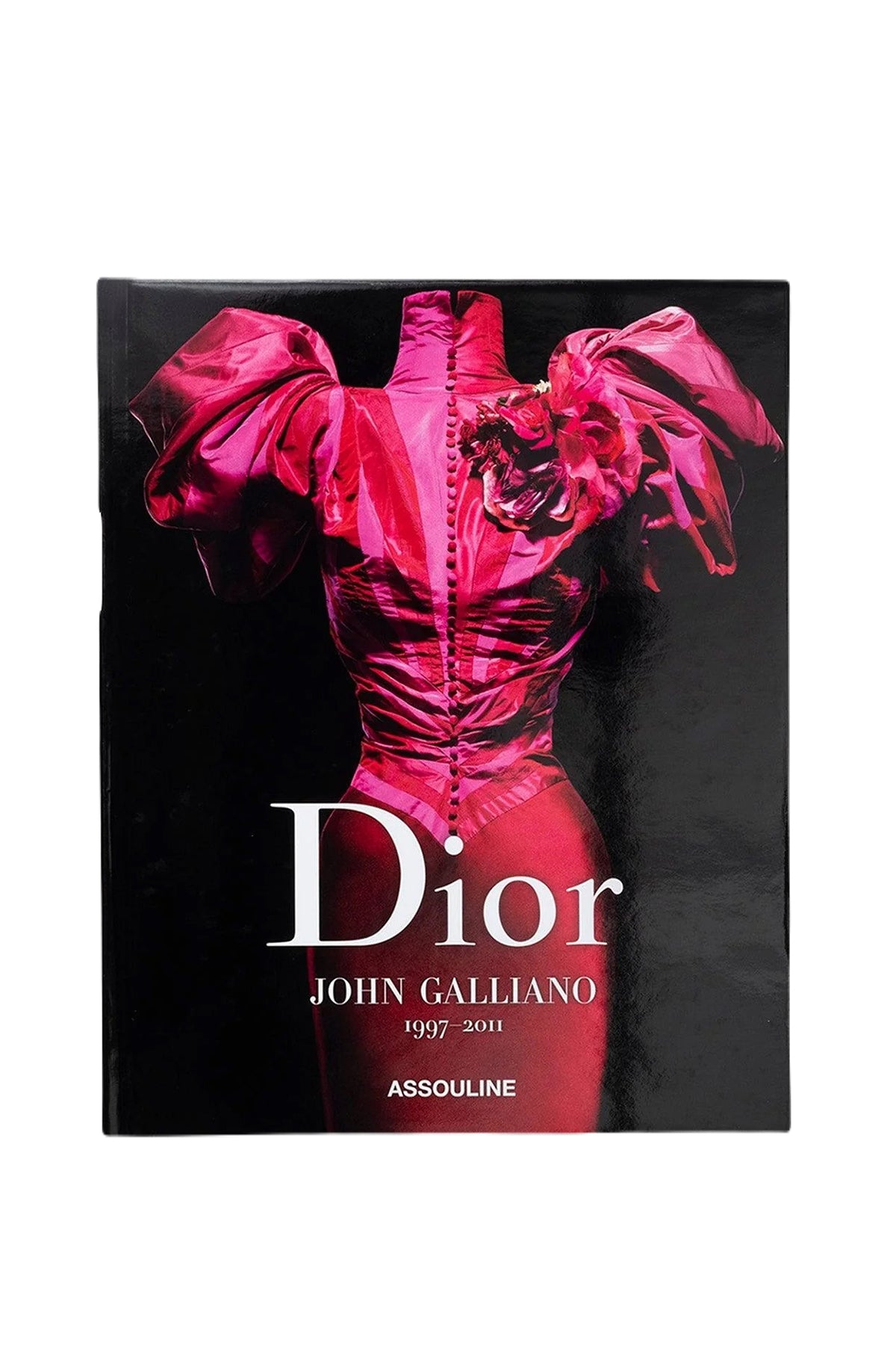 263311-24095-assouline-dior-by