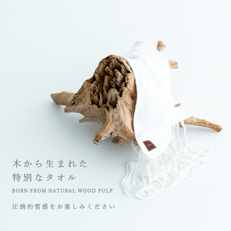 高級タオル通販サイトMAXMATERIAのブラックレーベル、ハンドタオル2本