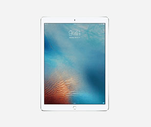 iPad Pro 9.7-inch 256GB Space Gray | mac of all trades