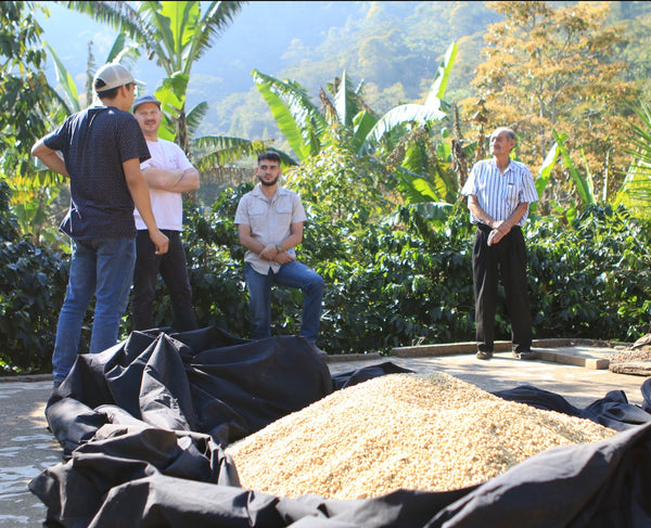 Miguel Ortiz Honduras Single Origin – Madcap Coffee Company
