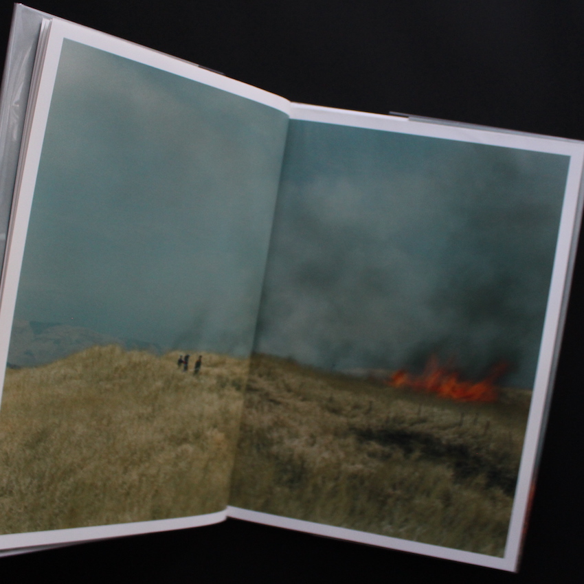 あめつち / Ametsuchi - 川内 倫子 / Rinko Kawauchi