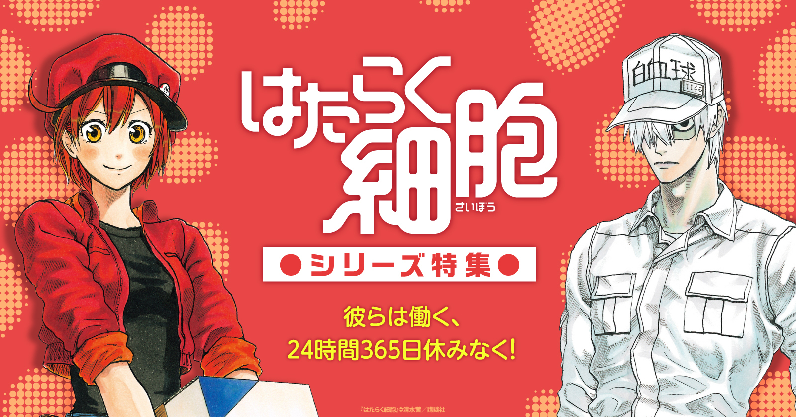 はたらく細胞セット (全60冊) | 漫画全巻ドットコム