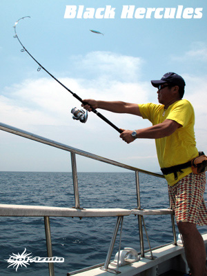 マングローブスタジオ　Black Hercules 7955S Mangrove Studio > Black Hercules /LMG