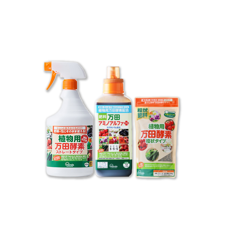 公式】エムフォルテ スペシャル4点セット｜万田発酵公式通販サイト