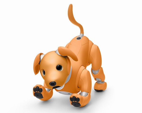ロボット犬aiboの新色はキャラメル！ 優しさや温もりを感じられる2020