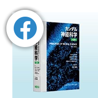 MEDSi メディカル・サイエンス・インターナショナル