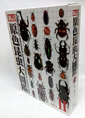 新訂原色昆虫大図鑑 2 甲虫篇 (森本桂監修) / 明倫館書店 / 古本、中古