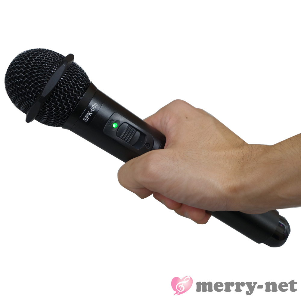 SOUNDPURE カラオケに最適な赤外線ワイヤレスマイクセット【福山楽器