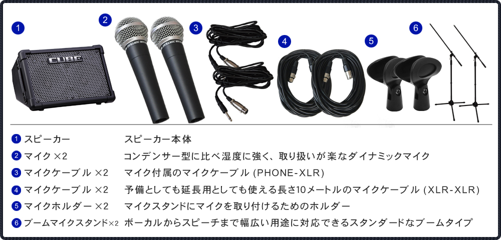 Roland ローランド CUBESTREET EX有線マイク2本セット(ソフトケース