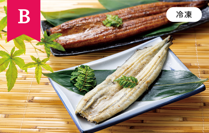 三菱電機 冷蔵庫：ご予約・ご購入キャンペーン 選べる10,000円分