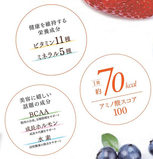 正規取扱店 |スロータス デリシェイク パワーアップして新発売