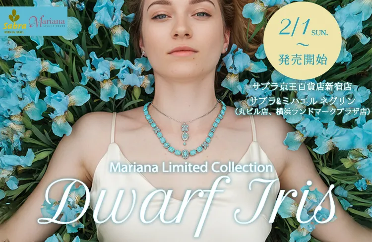 Michal Negrin（ミハエル ネグリン）