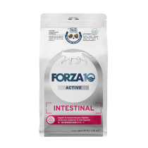 forza10_cat026_0_47e37_thumbna