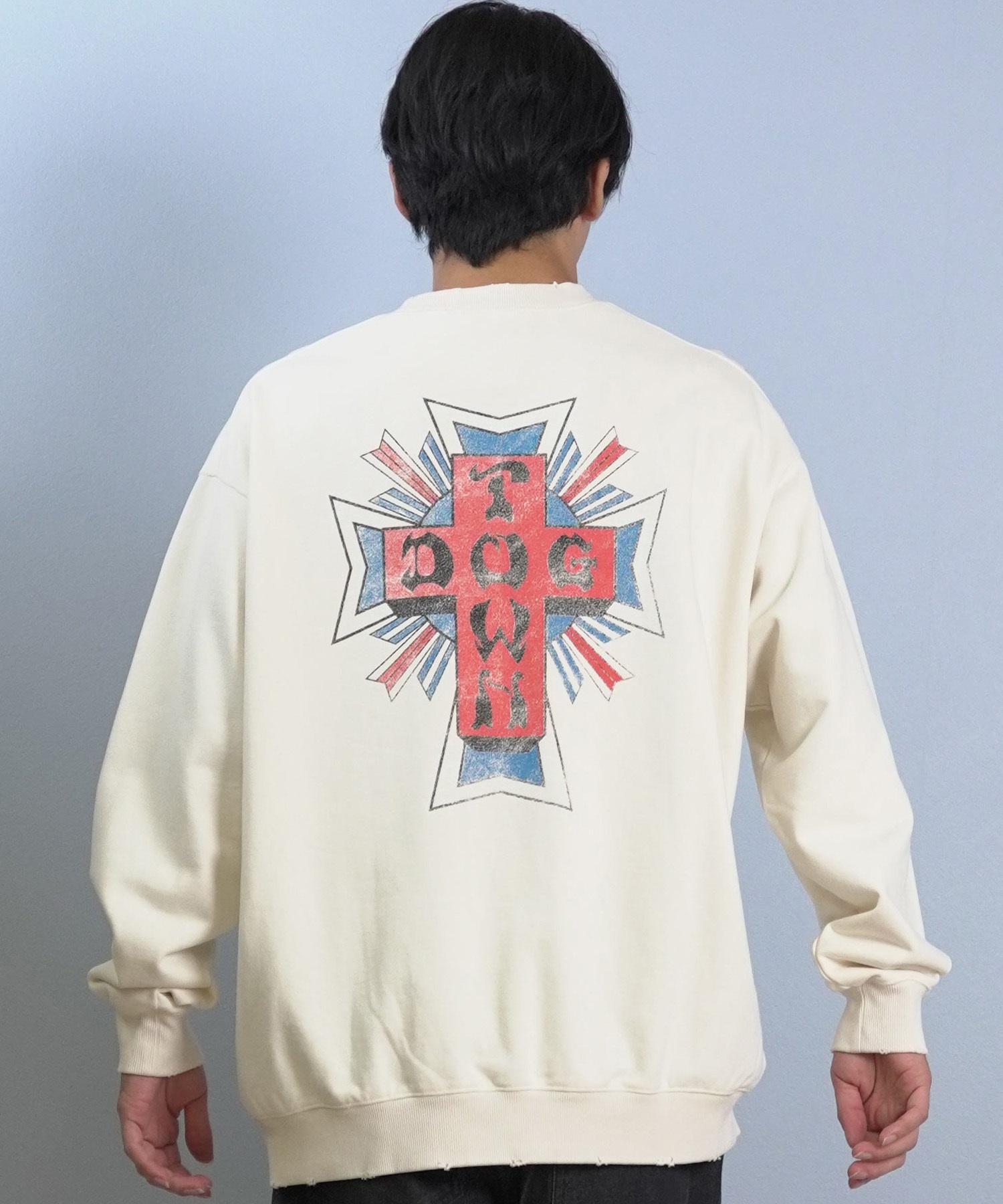 DOGTOWN ドッグタウン トレーナー スウェット メンズ バックプリント