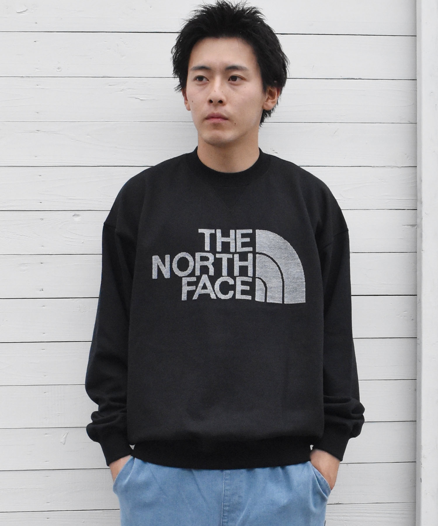 THE NORTH FACE ザ・ノース・フェイス メンズ トレーナー JACQUARD
