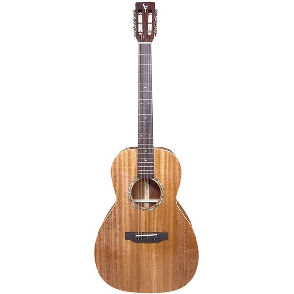 エレアコ DCT F-200E Fishman搭載 エレアコ DCT F-200E Fishman搭載