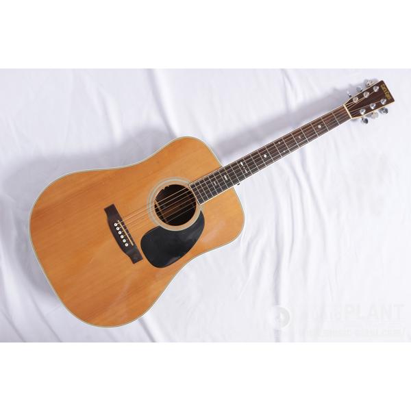 Morris アコースティックギターW-60 Special Natural中古()売却済み